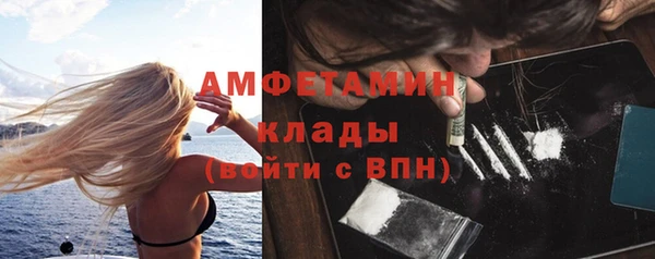 ГАЛЛЮЦИНОГЕННЫЕ ГРИБЫ Гусь-Хрустальный