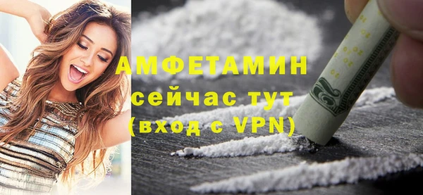 ГАЛЛЮЦИНОГЕННЫЕ ГРИБЫ Гусь-Хрустальный