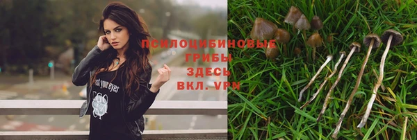 мяу мяу кристалл Гусиноозёрск