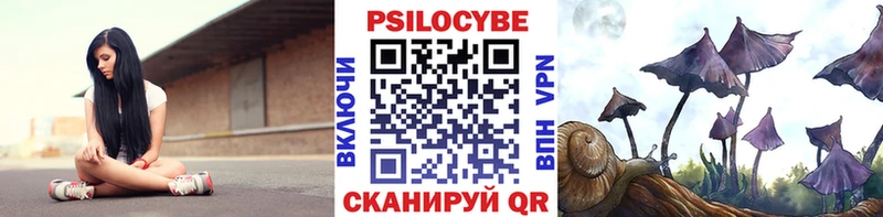 как найти Осинники Галлюциногенные грибы мухоморы